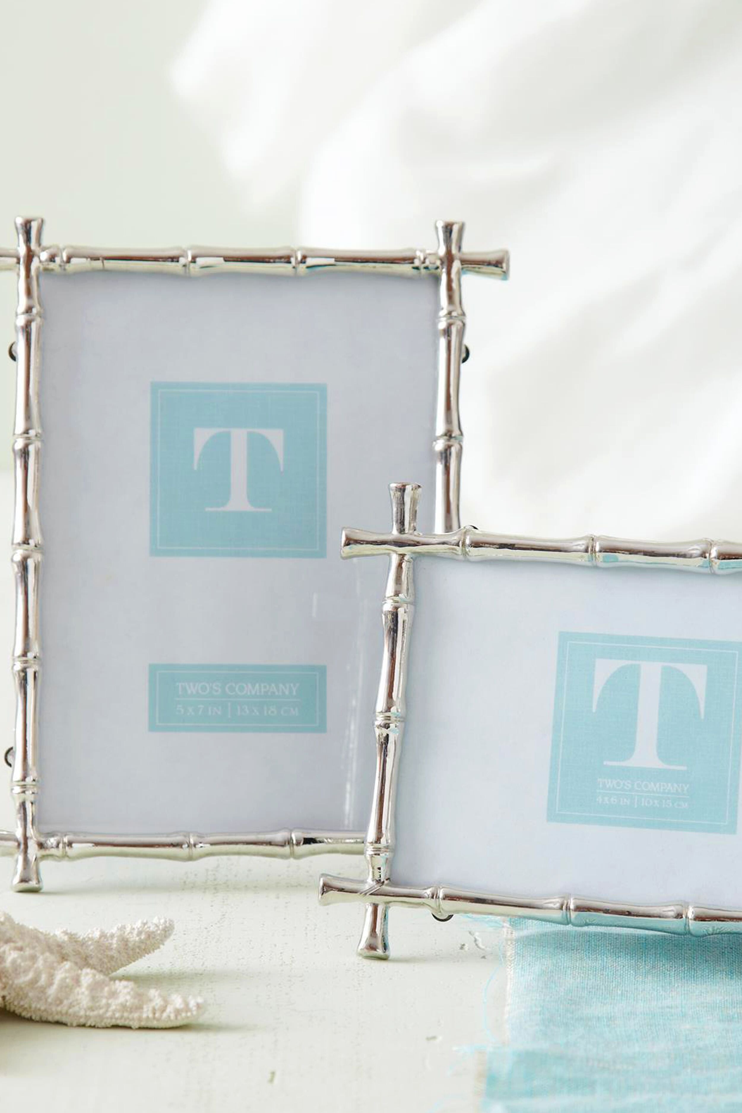 4x6 Bamboo Silver Frame